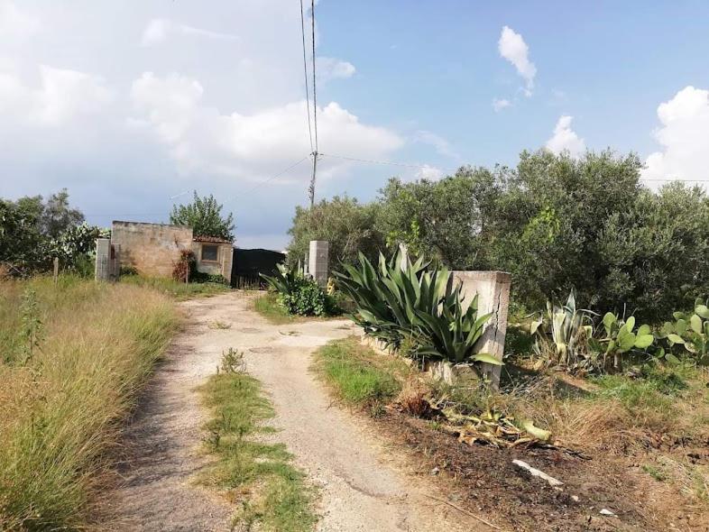 La Casa In Campagna Di Ottavia Alezio Εξωτερικό φωτογραφία